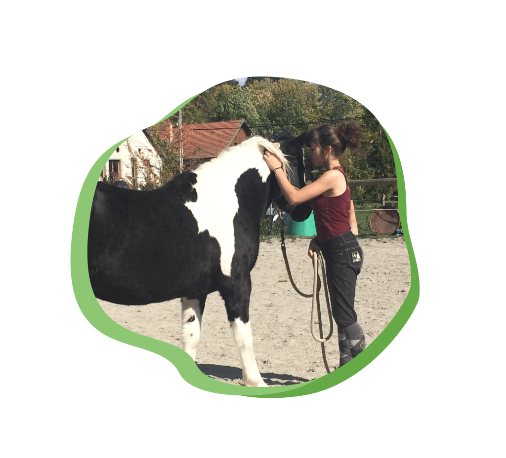 ÉquiStart Nina Prin Débourrage Isère Jeune cheval Comportementaliste équin éducation cheval